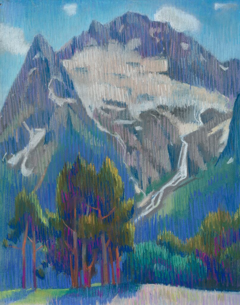 woods in front of a glacier in the mountains